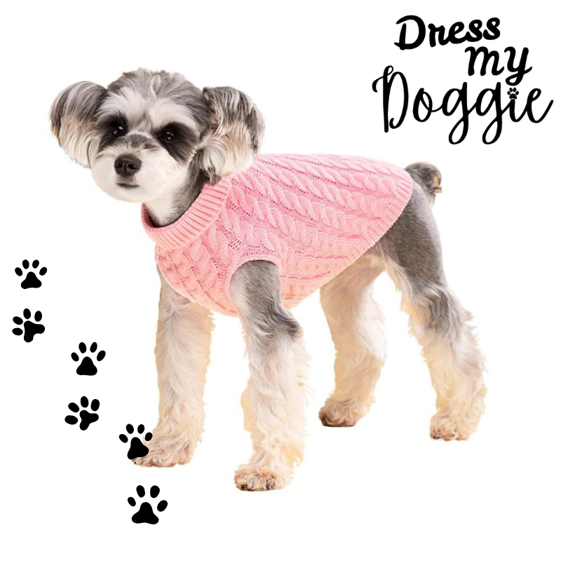 “Too Cute To Be Cold” Knitted Dog Jumper