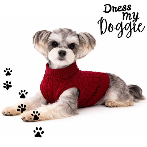 “Too Cute To Be Cold” Knitted Dog Jumper
