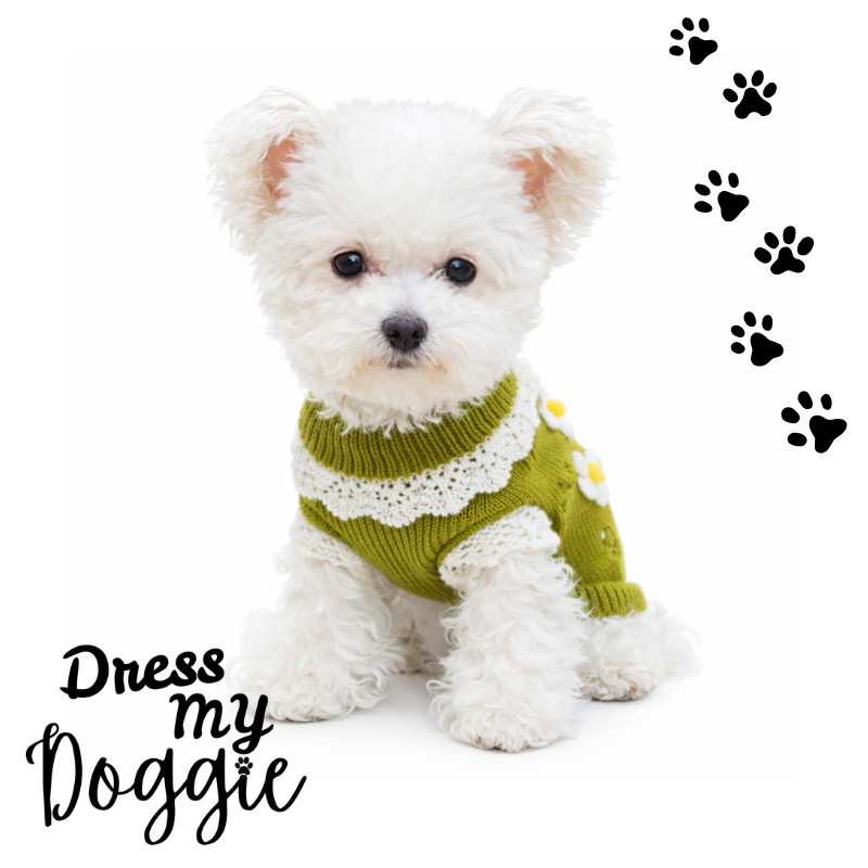 "Daisy Dreams" Knitted Dog Jumper