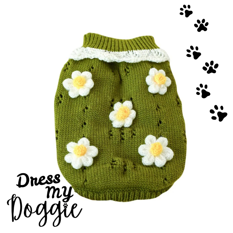 "Daisy Dreams" Knitted Dog Jumper