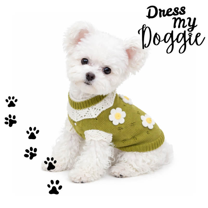 "Daisy Dreams" Knitted Dog Jumper