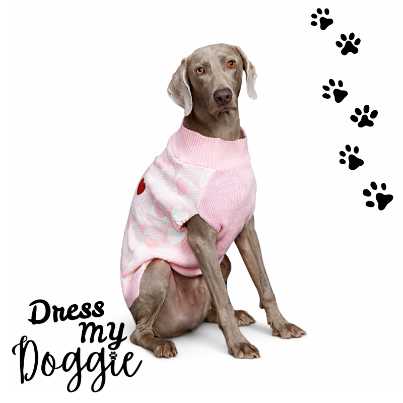 "Darla Dreams" Love Heart Knitted Dog Jumper