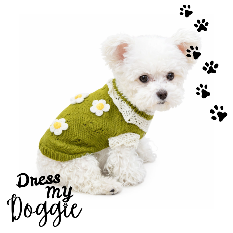 "Daisy Dreams" Knitted Dog Jumper