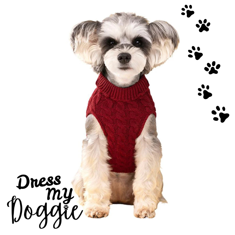 “Too Cute To Be Cold” Knitted Dog Jumper